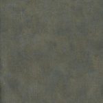 goodwall SEED COVER 230302 ol