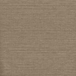goodwall SEED COVER 230302 ol