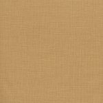 goodwall SEED COVER 230302 ol