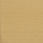 goodwall SEED COVER 230302 ol