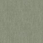 Z47817