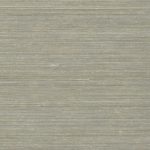 N168NA0080
