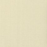 N168NP6007