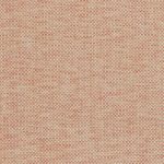 N168NP6061