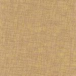 N168NP6538